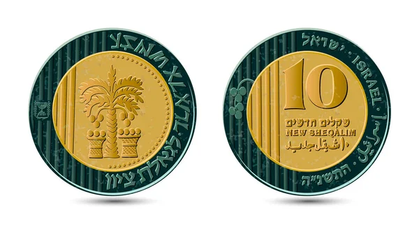 Israeli 10 New Shequalim Bimetallic coin 1995 year. The coin shows a palm tree with seven leaves and two baskets with dates; the emblem of the State of Israel; the words 