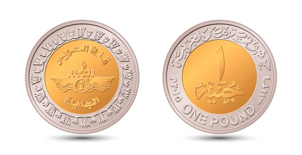 Reverse Obverse Egyptian One Pound Coin Vector Illustration — Vector de stock