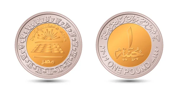 Reverse Obverse Egyptian One Pound Coin Vector Illustration — Vector de stock