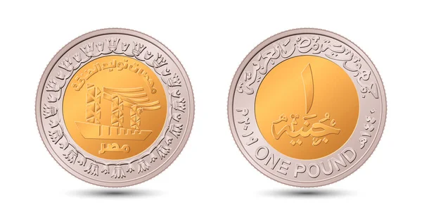 Reverse Obverse Egyptian One Pound Coin Vector Illustration — Vetor de Stock