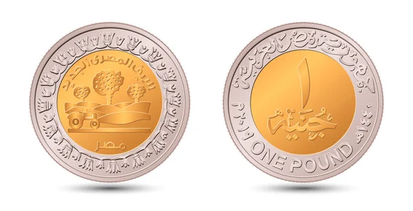 Egypt Pound 2019 New Egyptian Village Reverse Obverse Egyptian One — Vetor de Stock