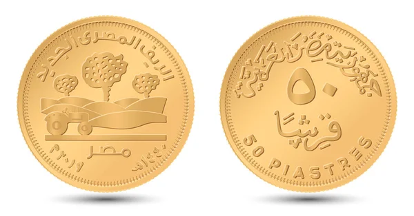 2019年5月25日 エジプトの村 ベクトル図におけるエジプトの50ピアストル硬貨の逆と逆 — ストックベクタ
