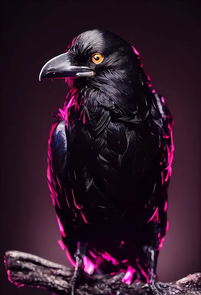 3d illustration of stunning beautiful realistic raven bird on dark background studio lighting with high level of details