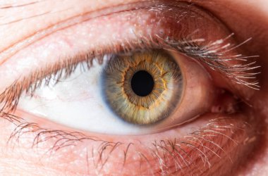 Yeşil göz kapanışı çok güzel. Makro fotoğrafçılık.