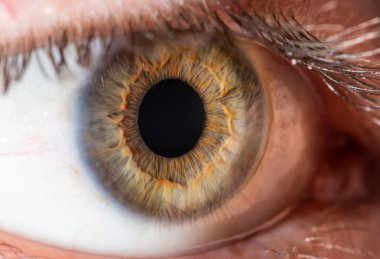 Yeşil göz kapanışı çok güzel. Makro fotoğrafçılık.