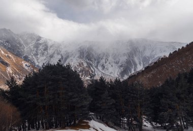 Dağlarda kış manzarası. Ormanda karla kaplı dağlar.