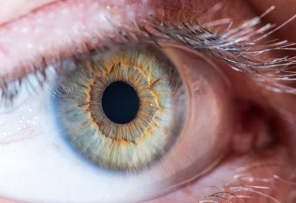 Yeşil göz kapanışı çok güzel. Makro fotoğrafçılık.