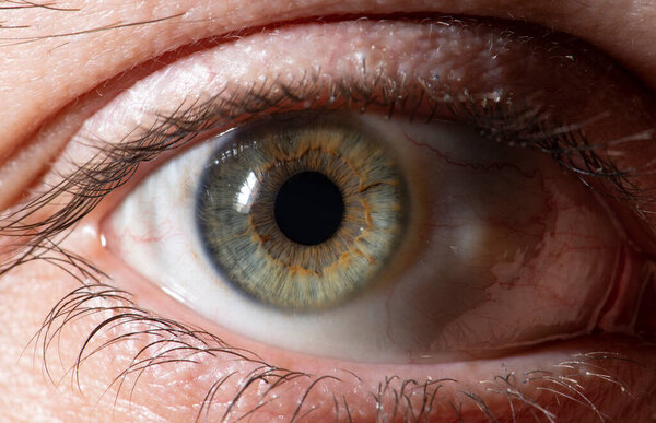 Красивая крупным планом зеленый глаз. Макрофотография.