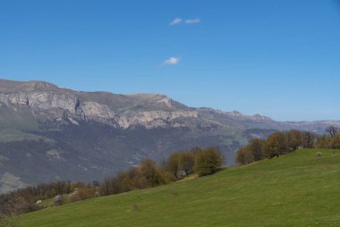 Ormandaki patika. Bahar ormanı manzarası.
