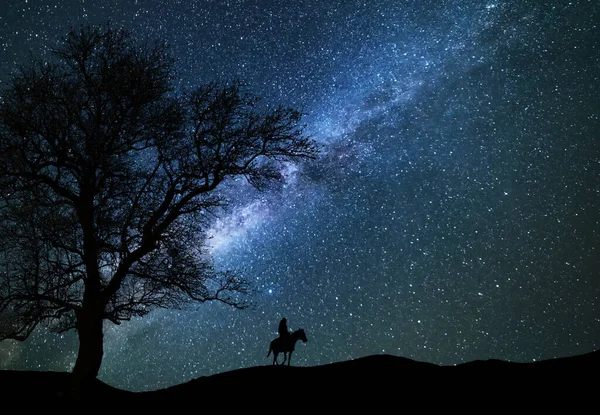 Night in the forest. Silhouette of the rider on the horse in the starry night.