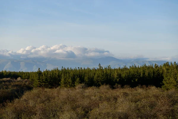 Hermoso Paisaje Verano Bosque Campos Verdes Montañas Bajo Las Nubes — Foto de Stock