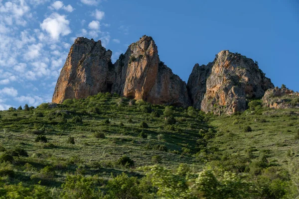 Yeşil tepelerdeki güzel ağaç kayaları. Yaz manzarası.