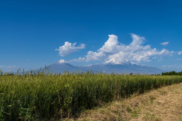 Bela Vista Das Montanhas Ararat Céu Nuvens — Fotografia de Stock