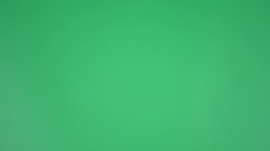 Hareket animasyonunu durdur. Kağıt yeşil ekranı kırıştırıyor..