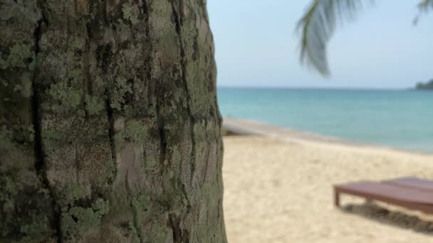 Розслабтеся Порожньому Морському Пляжі Подорож Райський Морський Пляж Копіювання Простору — стокове відео