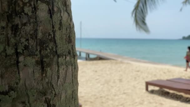 해변에서 긴장을 낙원의 해변으로 — 비디오