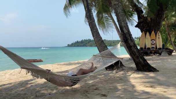 Hamac Palmiers Sur Plage — Video