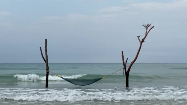 Strandgunga Och Titta Havsvågor Bekymmersfri Sommarstund Vid Havsstranden — Stockvideo