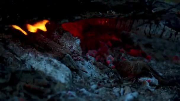 Ormanda Akşam Vakti Yanan Şenlik Ateşinin Kömürleri Zaman Turları — Stok video