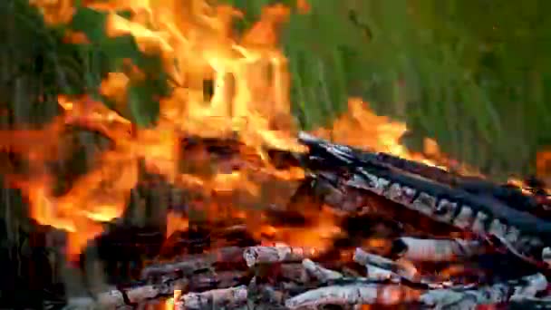 Yeşil Otların Arka Planında Yanan Bir Ateşin Alevleri Zaman Turları — Stok video