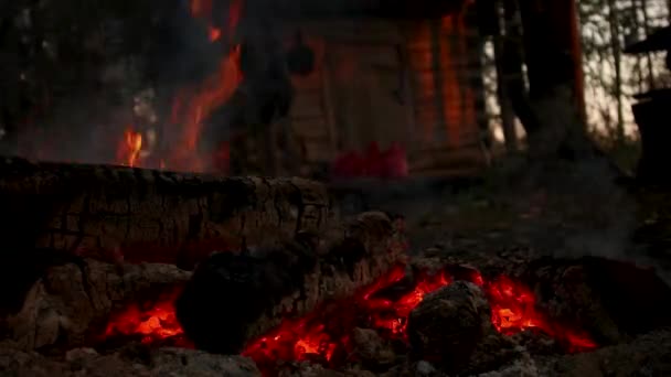 森の中の夜の燃えさかるたき火の石炭 時間の経過 ミスター — ストック動画