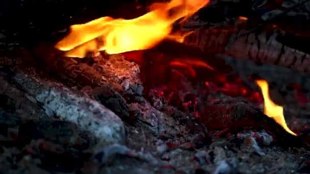 Rudé uhlíky hasnoucího ohně v noci, — Stock video