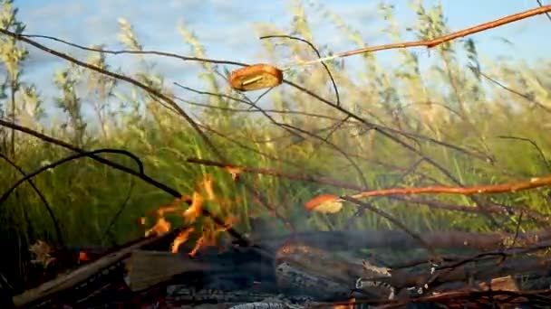 Familia fríe dos pedazos de pan en el fuego abierto — Vídeos de Stock