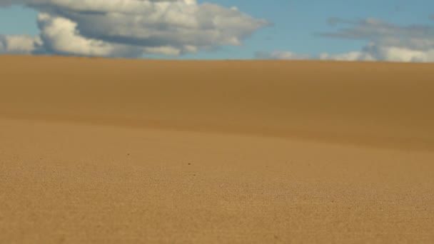 사하라사막의 아름다운 모래 언덕. — 비디오