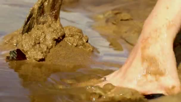 Dívka vykope díru v písku a staví hrad z písku — Stock video