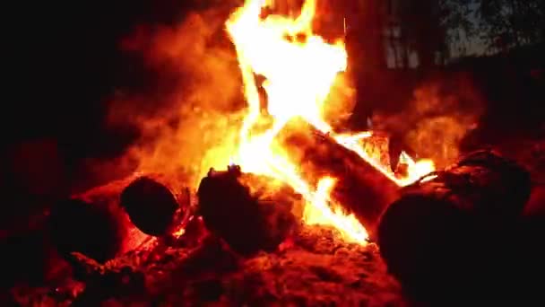 A burning bonfire in the dark autumn at night — Vídeo de stock