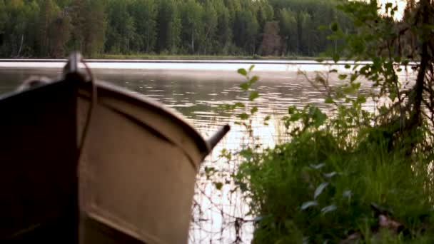 Morning sunrise on a forest lake in the taiga — Wideo stockowe