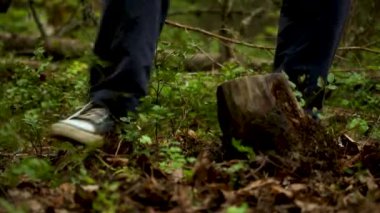 Bir adam kesilen ağaçların kütüklerini yere serer.