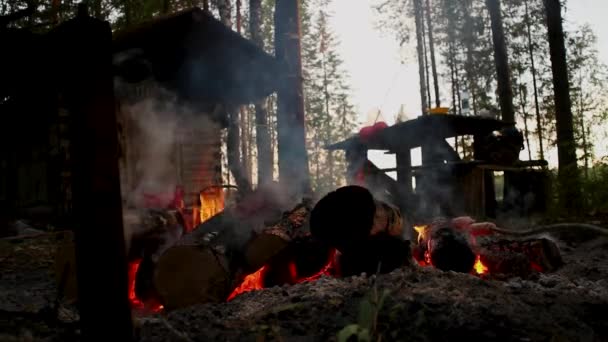 Man in the forest fries sausages over the fire — Stockvideo