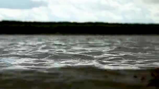 Kis hullámok egy erdő folyó egy napsütéses napon, fröccsenés — Stock videók