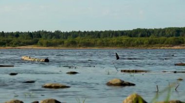 Güneşli havada orman nehrinde küçük dalgalar,