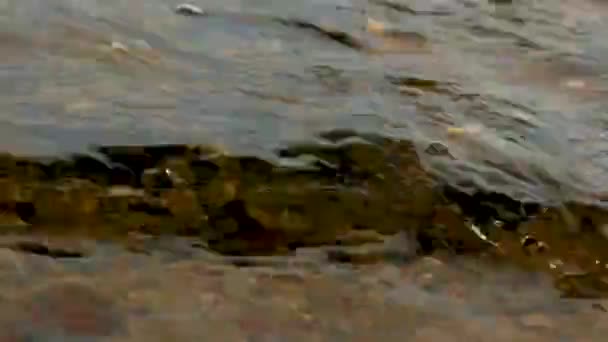 아름다운 바 다 물결 이 바위에 치고, — 비디오