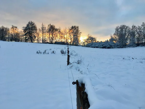 Obal Pole Sněhu Zimě Při Západu Slunce — Stock fotografie