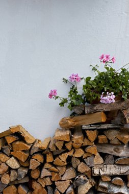 stacked firewood on a white house wall with a pink flowering geranium