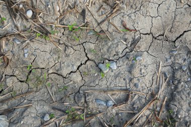 Yazın yağmur eksikliği toprağı kurutur.