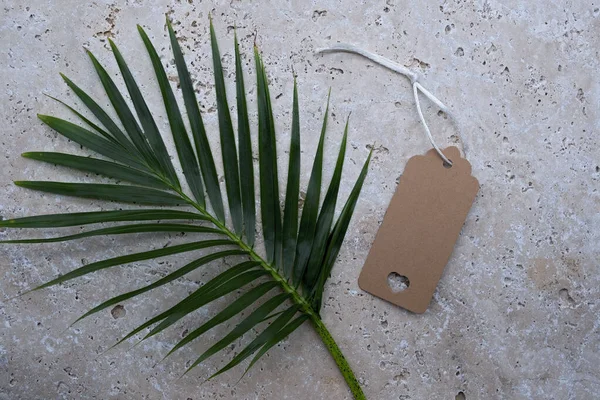 Fondo Con Etiqueta Regalo Blanco Con Hojas Palma Una Losa — Foto de Stock