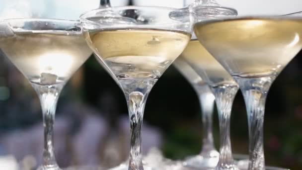 Beautiful pyramid of champagne at celebration. Alcoholic drinks at wedding party — Stock Video