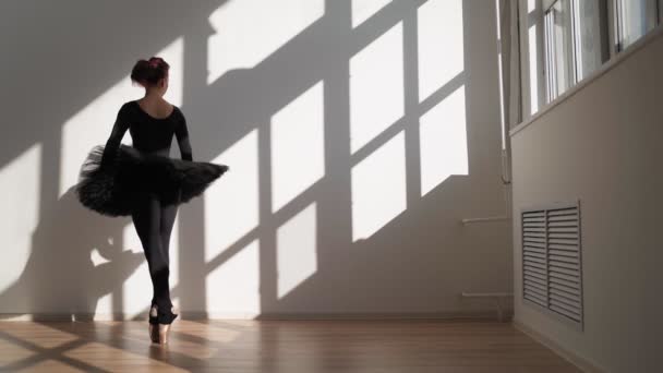 Balerina in Black Tutu Kecsesen táncol a fehér fal ellen fényes napfényben — Stock videók