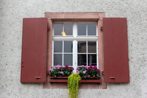 赤いシャッター付きの美しいヴィンテージヨーロッパの窓と花のあるプランターボックスの質感の背景ビューを閉じます — ストック写真