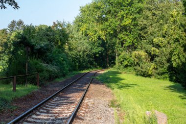 Güneşli bir günde Avrupa ormanlarından geçen tren raylarının manzara görüntüsü.