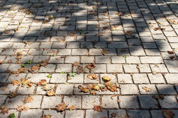 Vista Perto Uma Superfície Calçada Paralelepípedos Europeia Com Folhas Secas — Fotografia de Stock