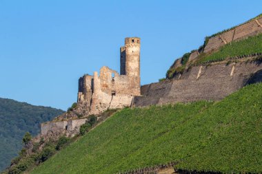 Ehrenfels Kalesi, Almanya 'nın Rdesheim yakınlarındaki Ren Nehri' nin ortasındaki harabelerde.