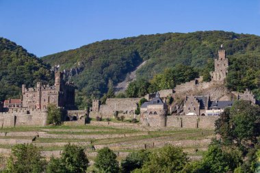 Almanya, Trechtingshausen yakınlarındaki Ren Nehri 'nin ortasındaki Reichenstein Şatosu