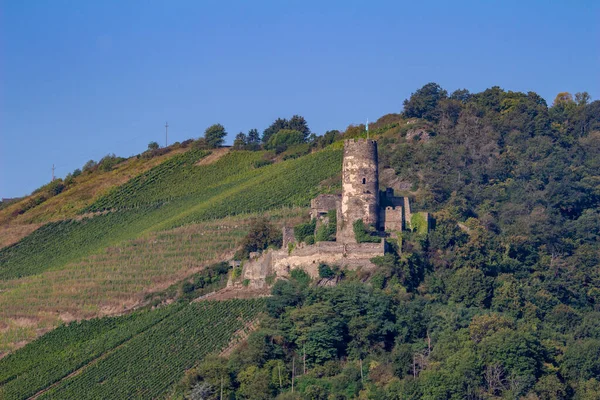 Furstenberg Κάστρο Ερείπια Τοπίο Στο Άνω Μέσο Του Ποταμού Ρήνου — Φωτογραφία Αρχείου