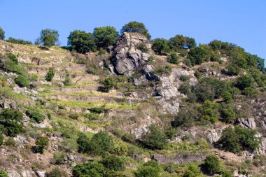 Sankt Goarshausen, Almanya yakınlarındaki Ren Nehri boyunca uzanan kayalık arazi manzarası
