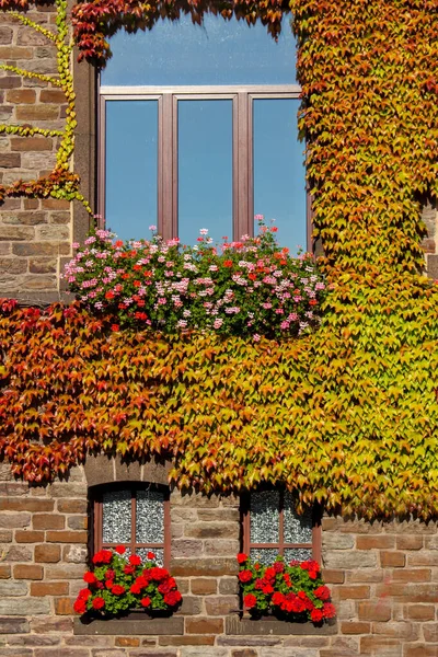 Nahaufnahme Textur Hintergrund Einer Mittelalterlichen Steinmauer Mit Modernen Fenster Bedeckt — Stockfoto